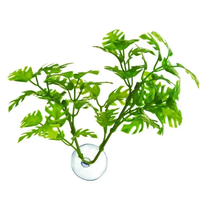 ZooMed Betta Plant Window Leaf