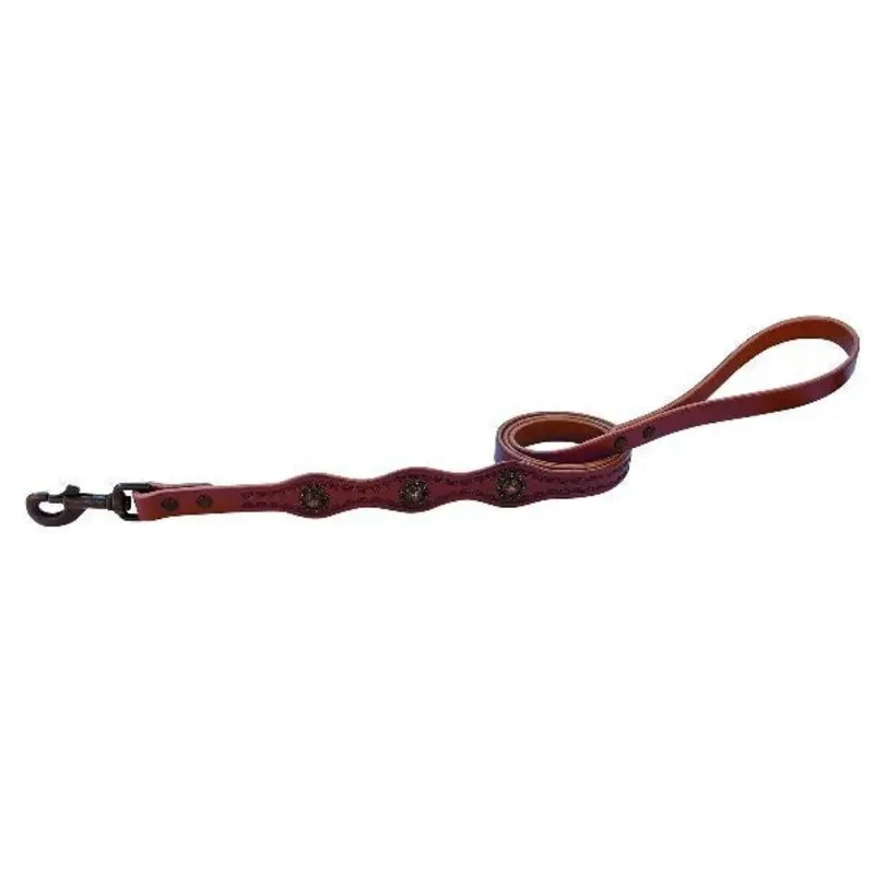 Sundance Leash 3/4 X 4ft Brown
