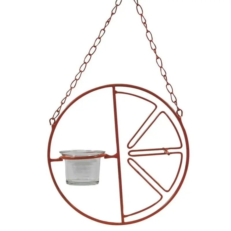 Clementine Oriole Feeder 7.5x3x7.5 Orange