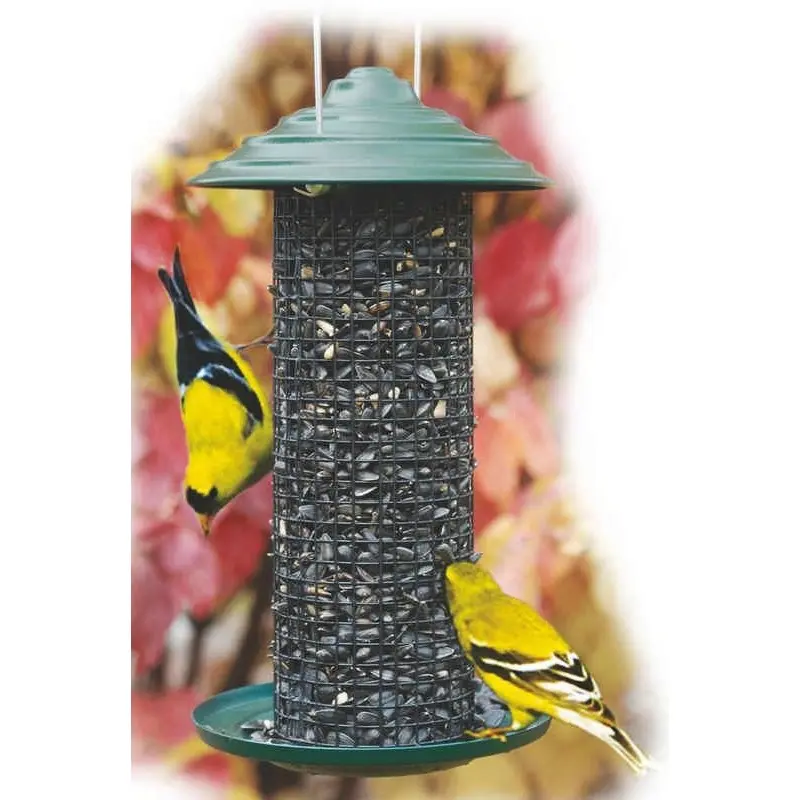 Minimagnum Sunflower Feeder 4.75Diameter Grn
