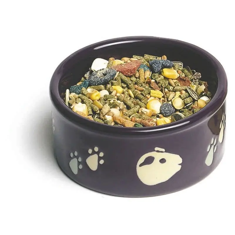 Pawprint Petware Dish 4 x 5.25 x 5.75 Assorted