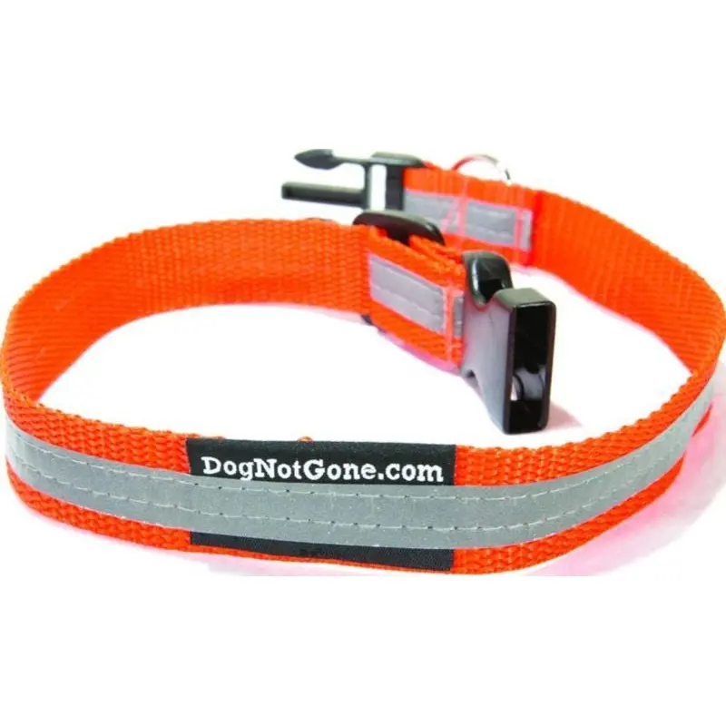 Dog Not Gone Reflective Collar LG/24 Orange