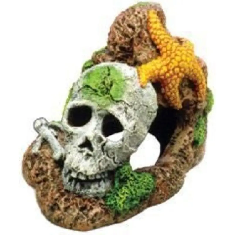 Blue Ribbon Skull with Starfish Ornament