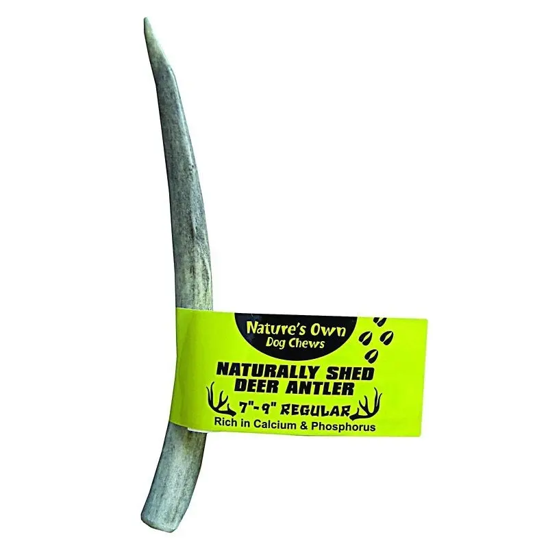 Natures Own Pet Chews Deer Antler - Regular 7-9