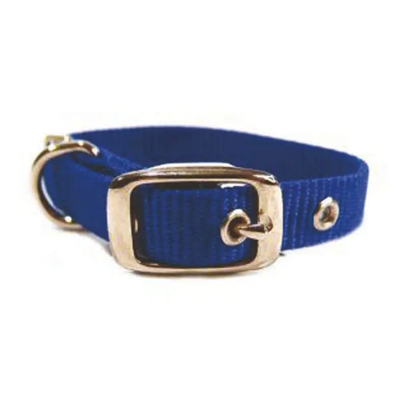 Nylon Dog Collar 12 Inx5/8 In Blu
