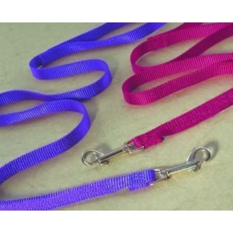 Nylon Lead For Dogs 4 Ft Hot Purple