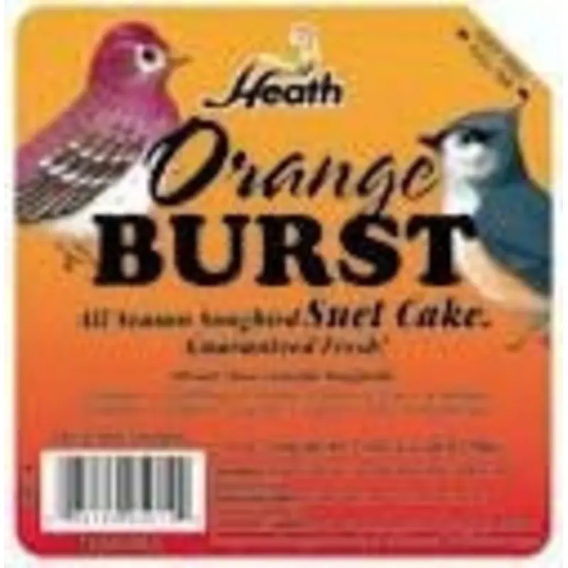 Orange Burst Suet Food For Wildbirds