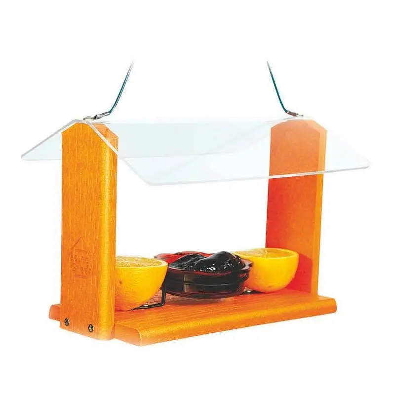Woodlink Going Gren Oriole And Bluebird Feeder