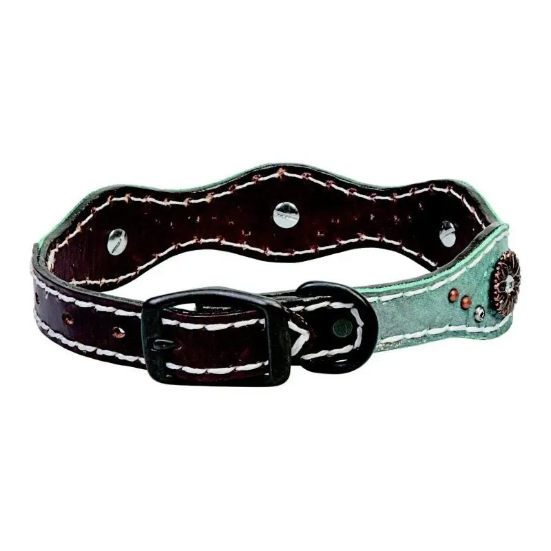Weaver Savannah 1in Collar