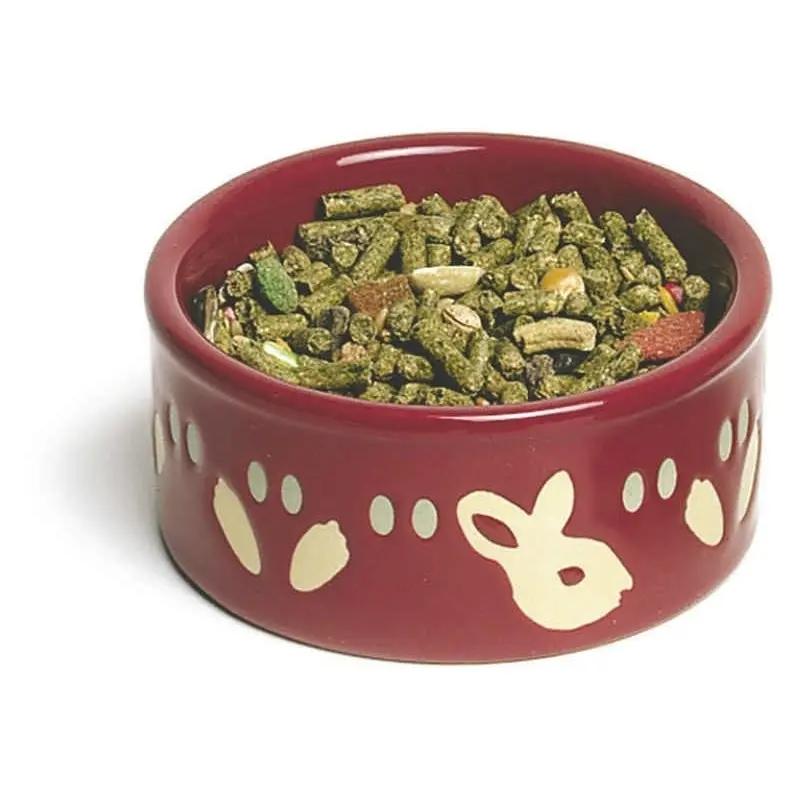 Bunny Pawprint Petware Dish 6 x 1.5 x 6 Assorted