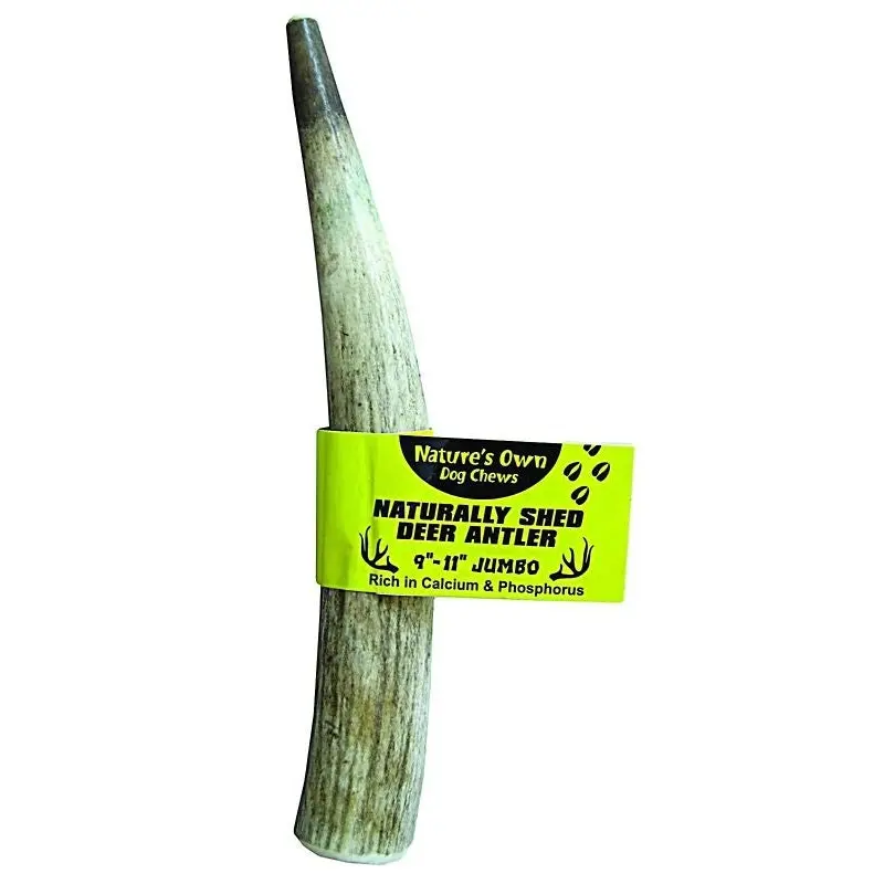 Natures Own Pet Chews Deer Antler - Jumbo 10-11