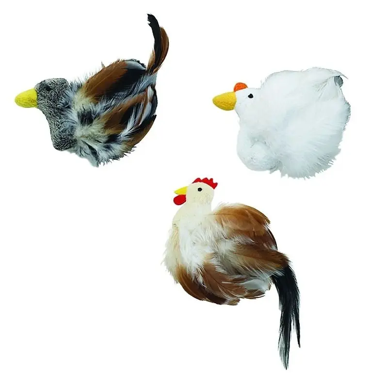 Spot Feather Birds