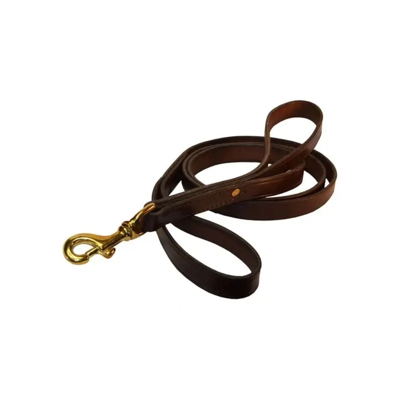 Perris 3/4 Leather Dog Safety Leash - 5 5ft Havana