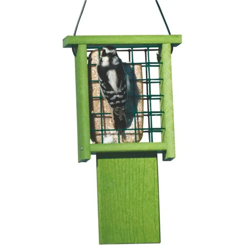 Going Green Tail Prop Feeder 1 Suet Cake Green