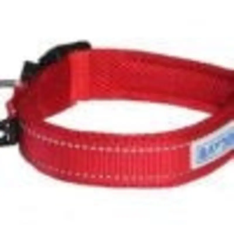 Baydog Tampa Dog Collar