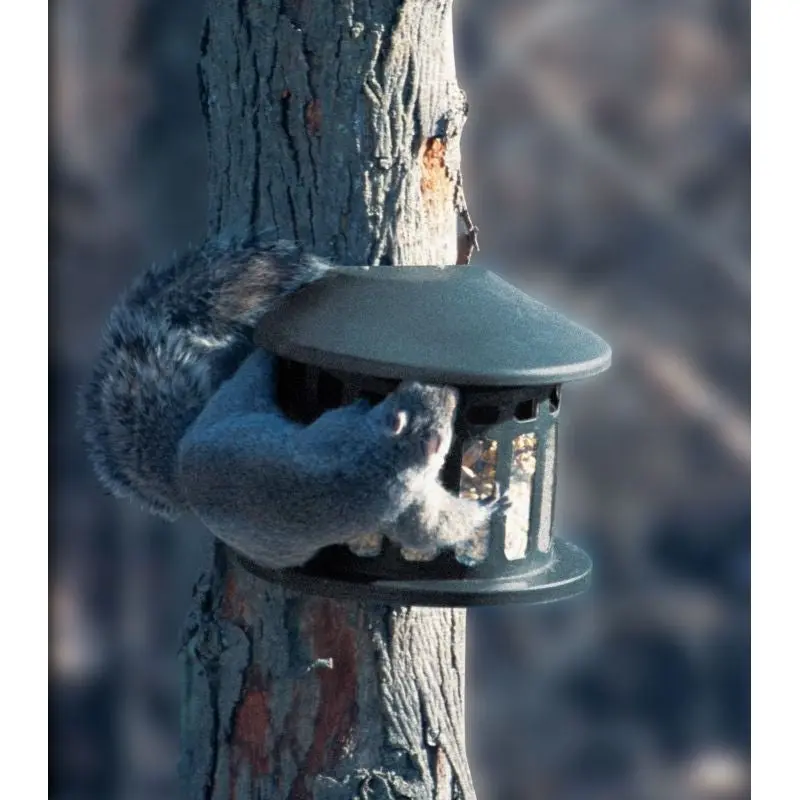 Heritage Corn Peanut Squirrel Feeder
