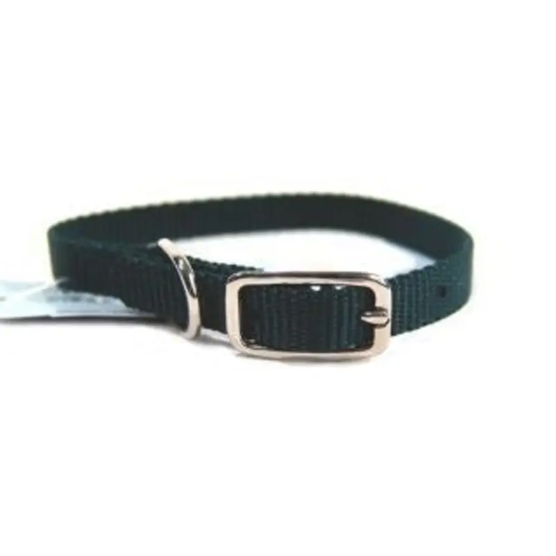 Nylon Dog Collar With Buckle 12 Inx3/8 In Hunter Grn