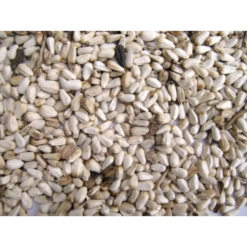 Safflower Seed 25lb