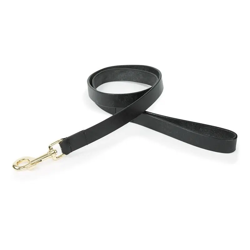 Shires Digby Fox Flat Leather Dog Lead