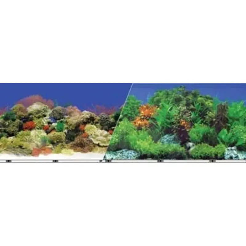 Blue Ribbon Reef Aquarium Background