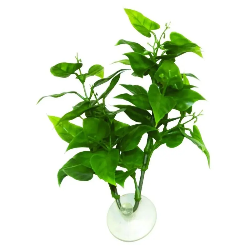 ZooMed Betta Philo Plant