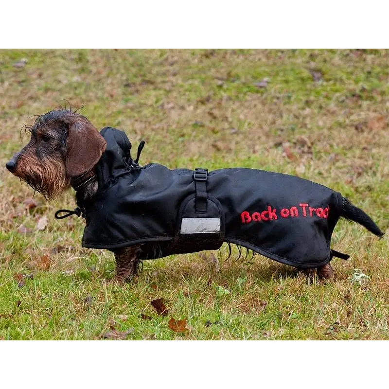 Back On Track Dachshund Regular Dog Blanket