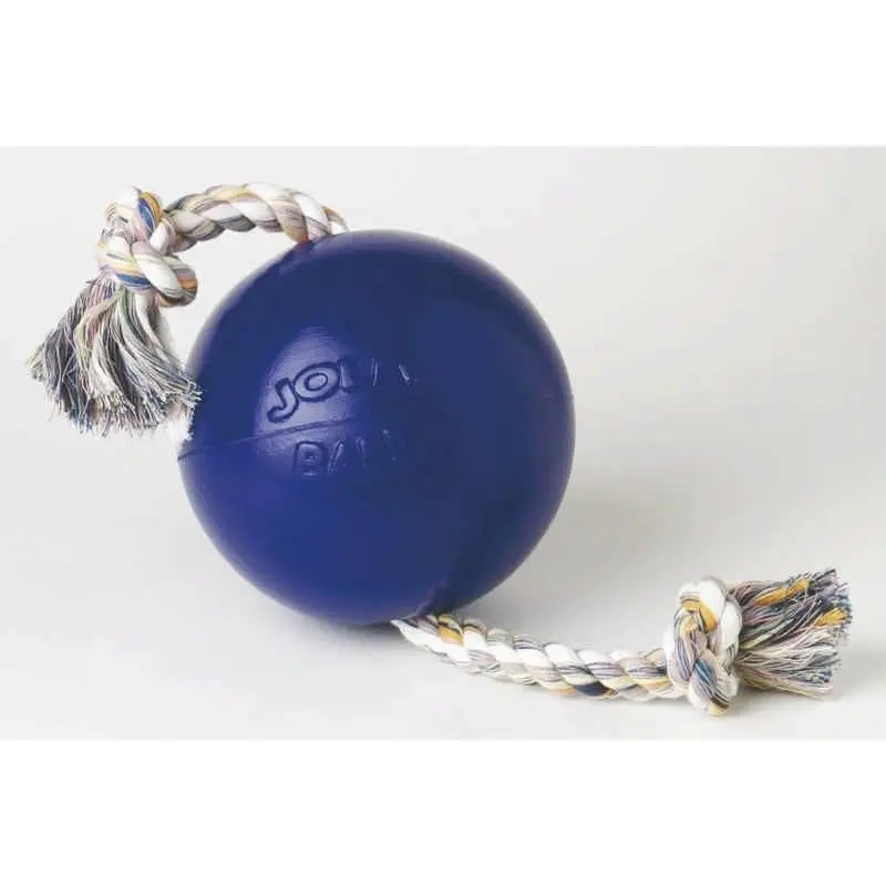 Jolly Pets Romp-n-Roll Ball 4.5 Inch