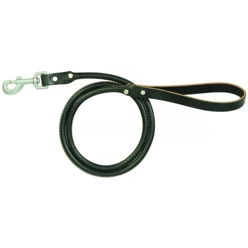 Weaver Terrain Dog Rolled Leash