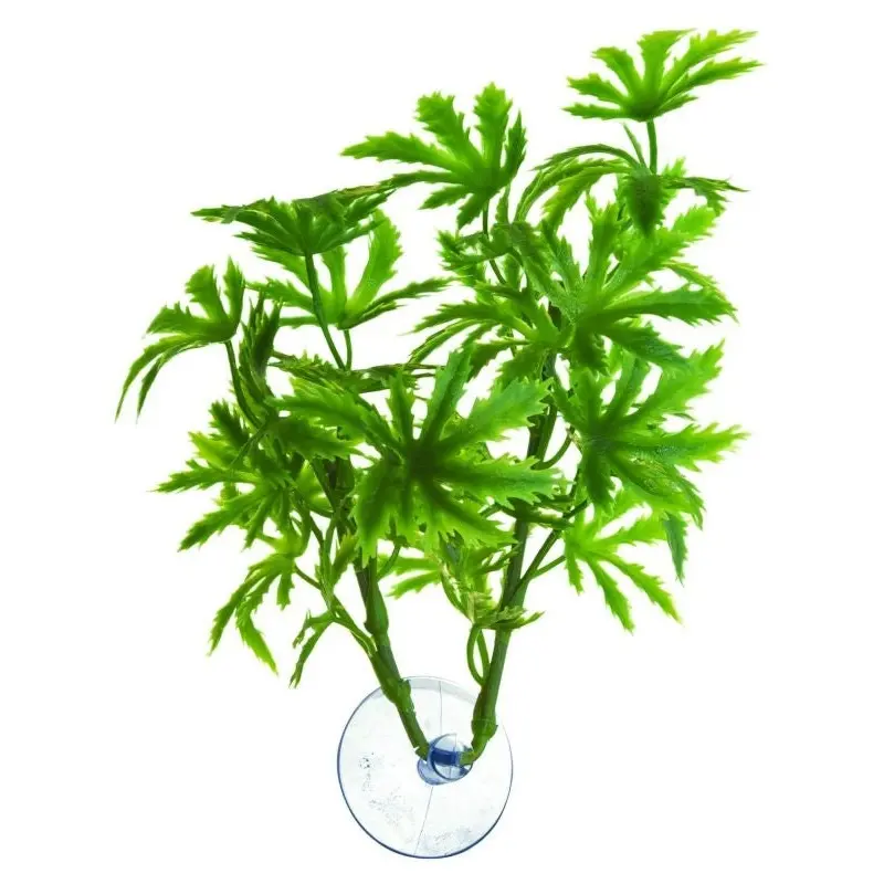 ZooMed Betta Papaya Plant