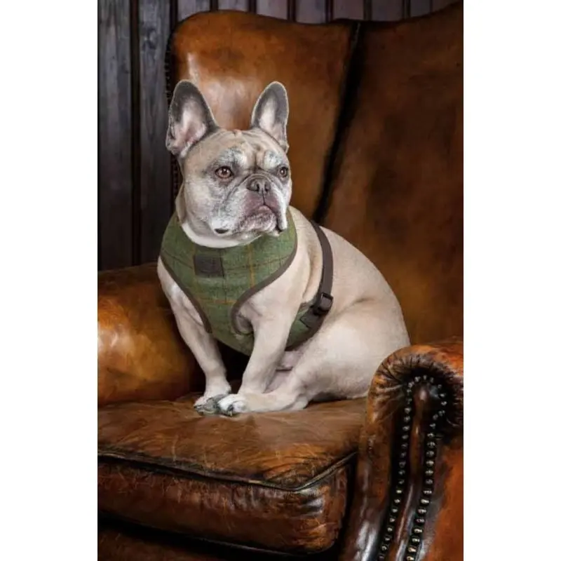Shires Digby/Fox Tweed Dog Harness