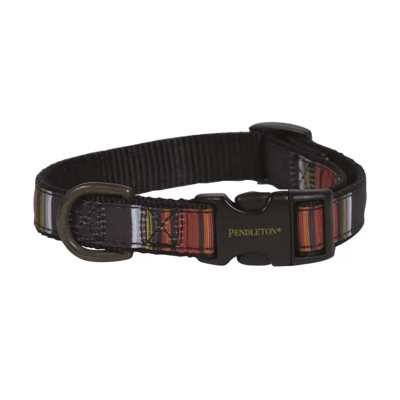 Pendleton Hiker Acadia Dog Collar
