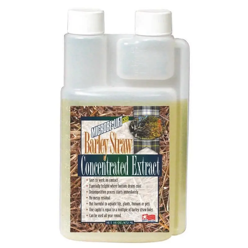 Barley Straw Extract 16Oz