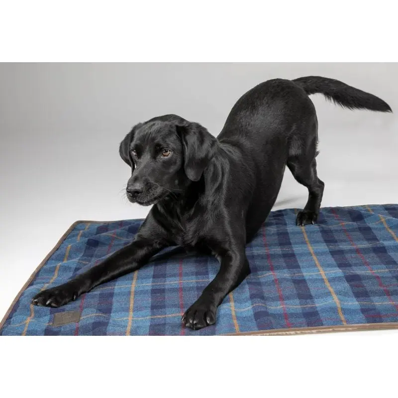 Shires Digby Fox Tweed Blanket