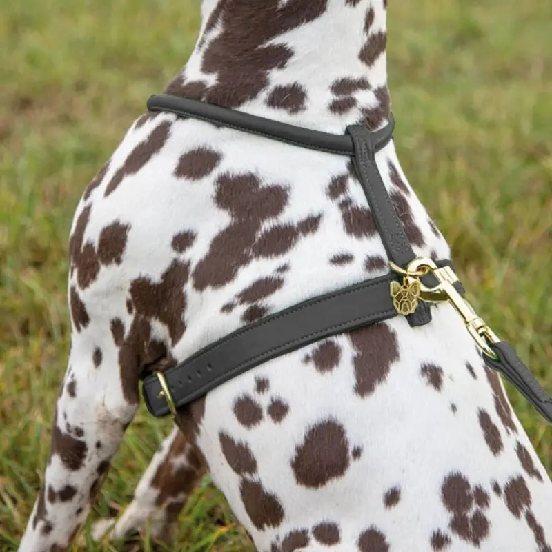 Shires Digby Rolled Leather Harness