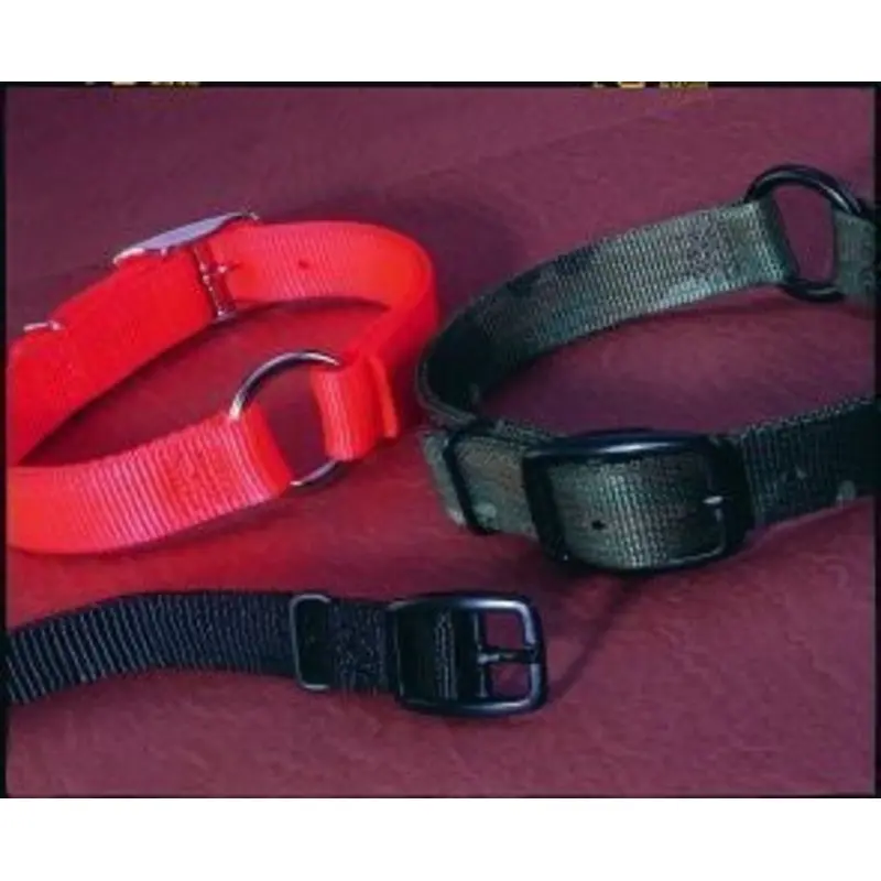 Safe-Rite Dog Collar With Tape 1 X20 Orange