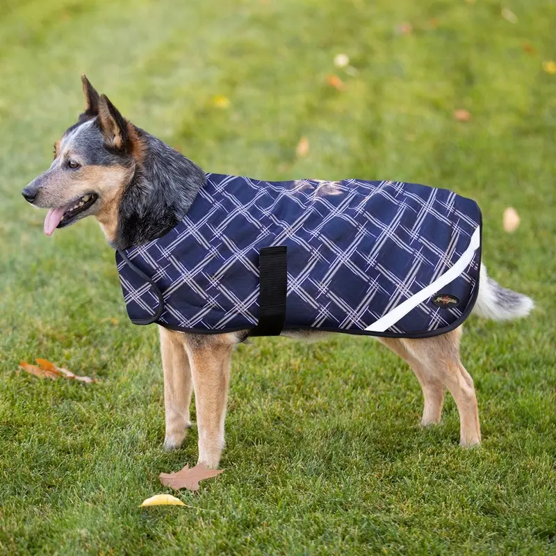 Kensington Standard Dog Coat 180g