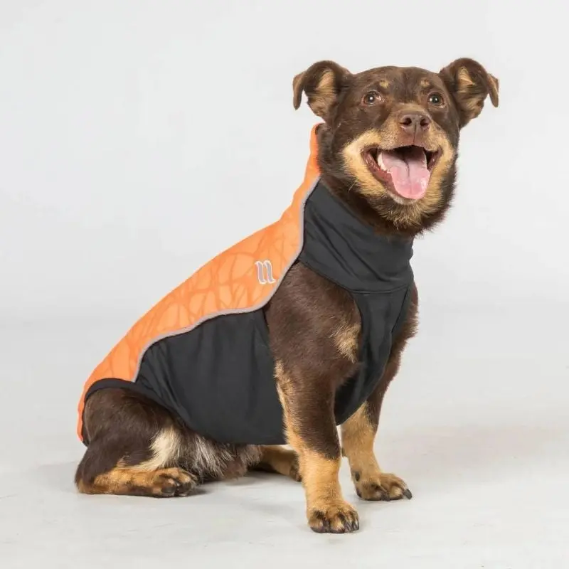 Back on Track Eddie High Visibility Dog Jumper