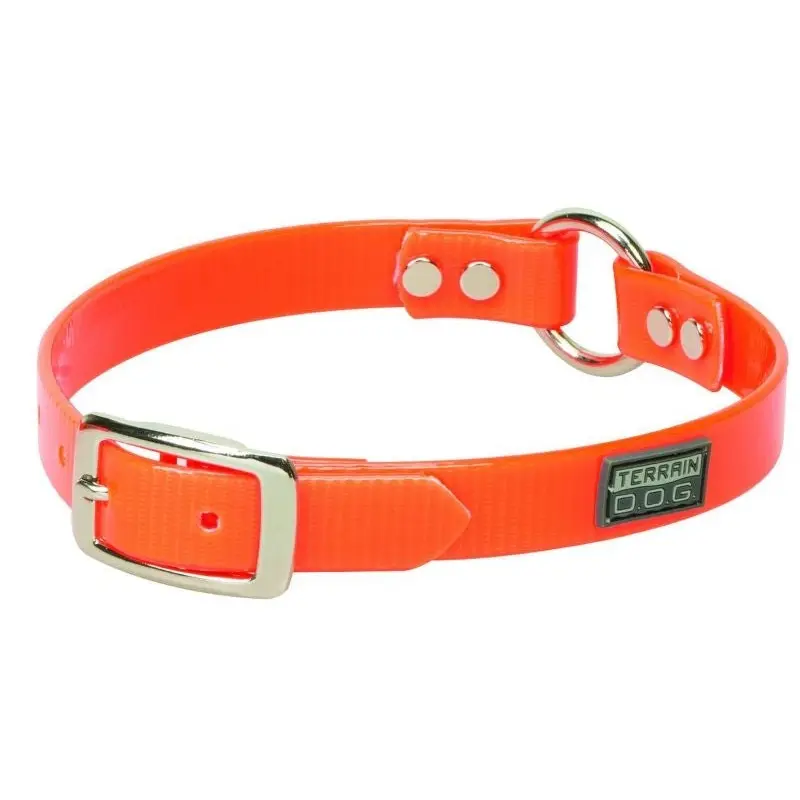 Terra Dog Brahma Webb Clear Coat Collar