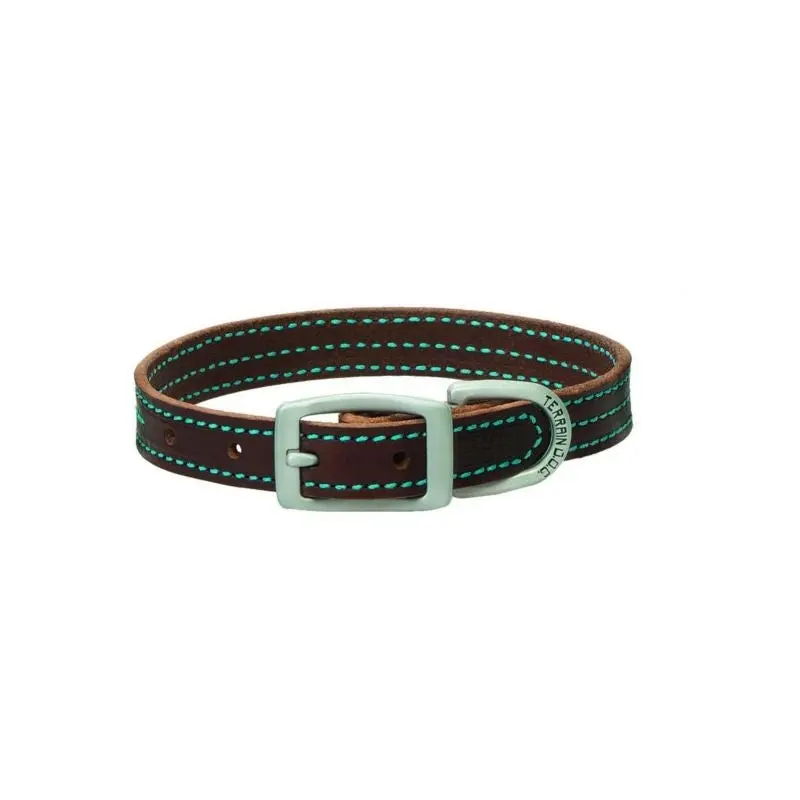 Weaver Terra Dog Contrast Collar