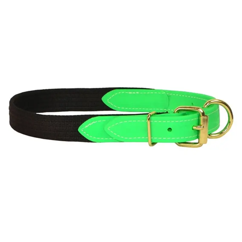 Perris Beta/Cotton Dog Collar LG Black Lime