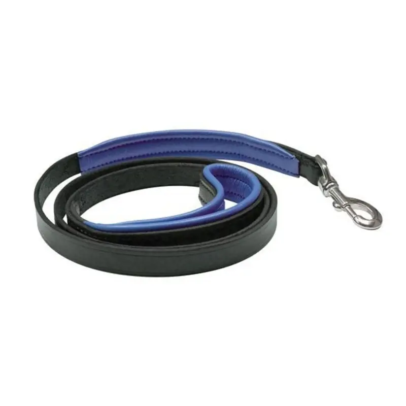 Perris Padded Leather Dog Leash
