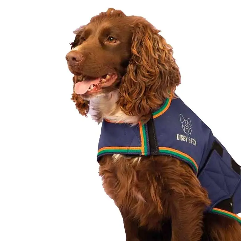 Shires Digby & Fox Waterproof Dog Coat XX-Large Na