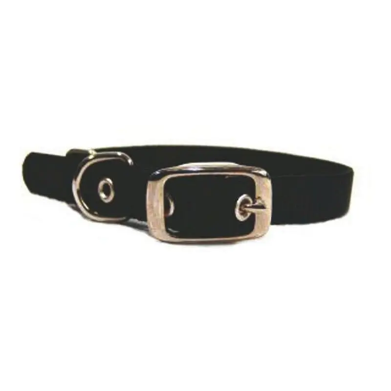 Single Nylon Dog Collar 2x0.25x0.25 Black