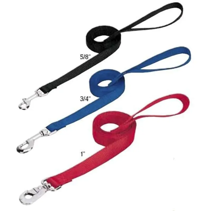 Weaver Prism Choice Nylon Leash
