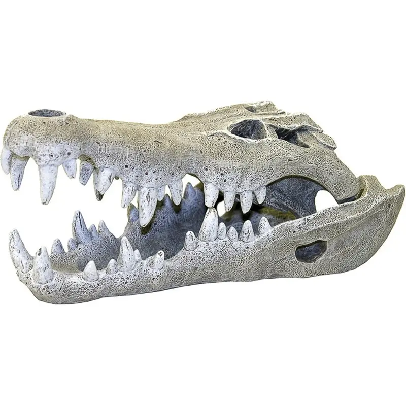 Blue Ribbon Nile Crocodile Skull Ornament