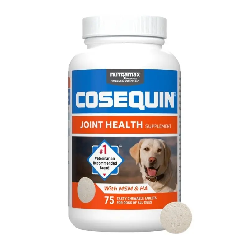 Cosequin Maximum Strength Plus MSM and HA