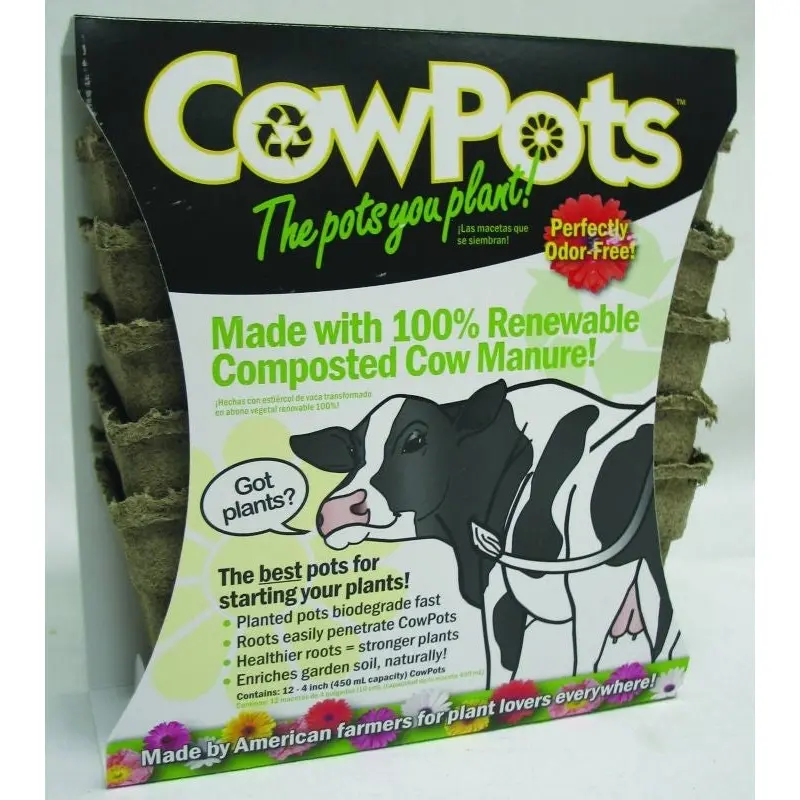 Cow Pots - 12 Pack 3 Inch Brown
