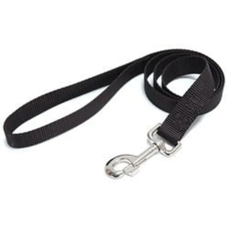 Single Ply Nylon Lead 1in x 4ft