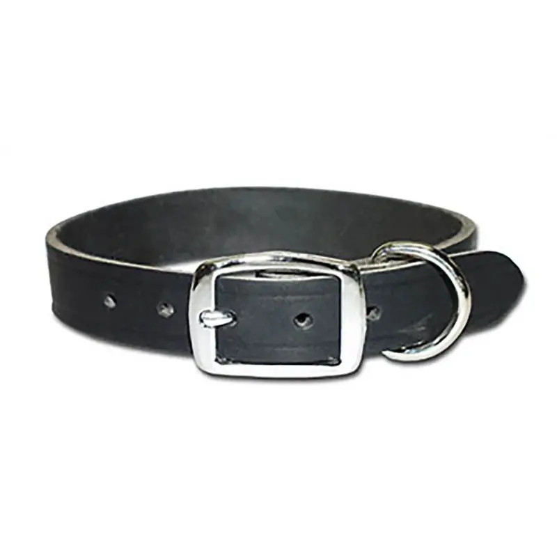 Premium Latigo Leather Dog Collar