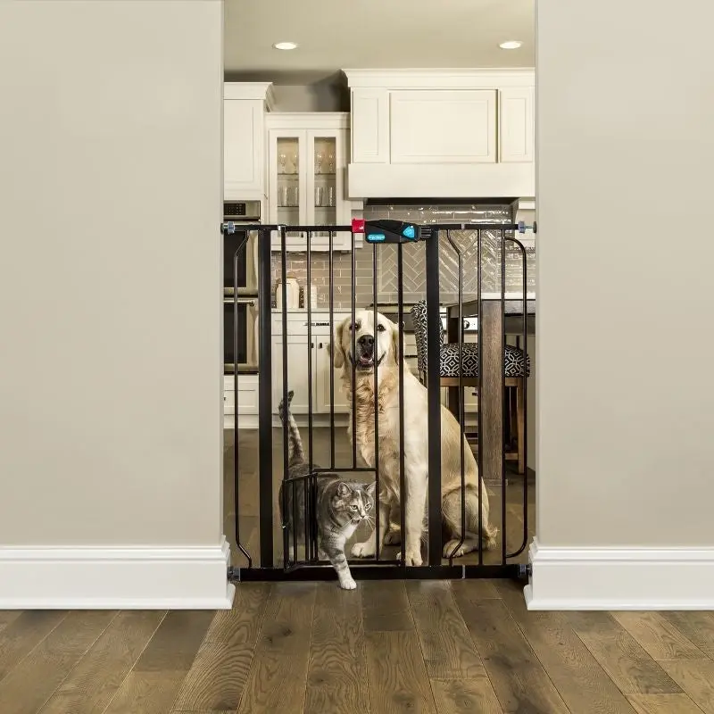 Carlson Pet Black Extra Tall Gate with Pet Door
